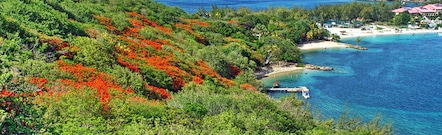 Rodney Bay