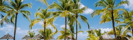 Palm Beach