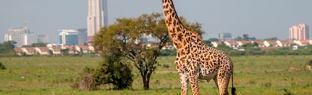 Nairobi