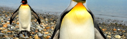 Punta Arenas
