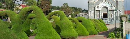 Alajuela
