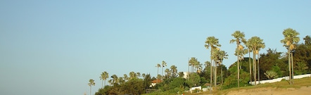 West Coast Region