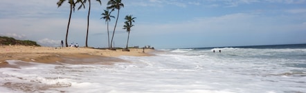 Ilha de Lagos