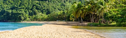 Basse - Terre
