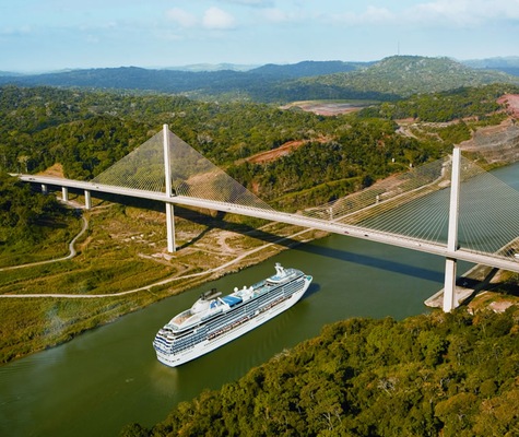 imagem Coral Princess 15