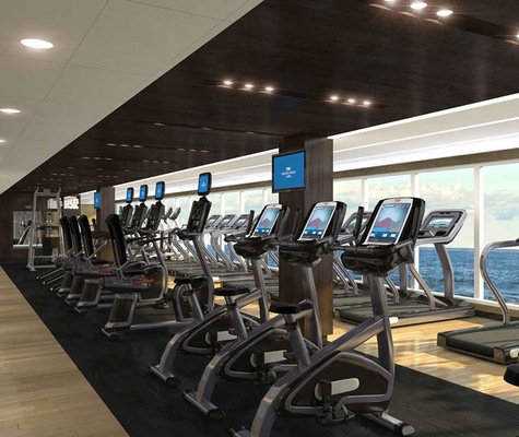 imagem Majestic Princess 17