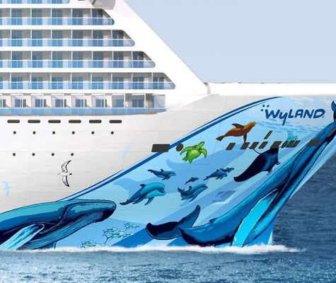 imagem Norwegian Bliss 16
