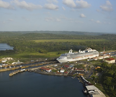 imagem Coral Princess 14