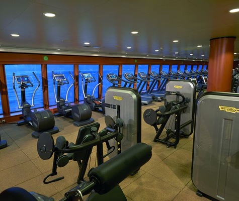 imagem Norwegian Gem 26