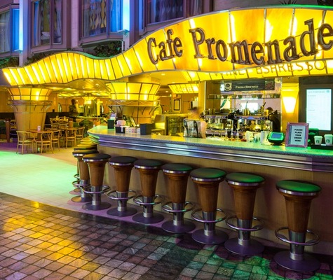 imagem Navigator of the Seas 18