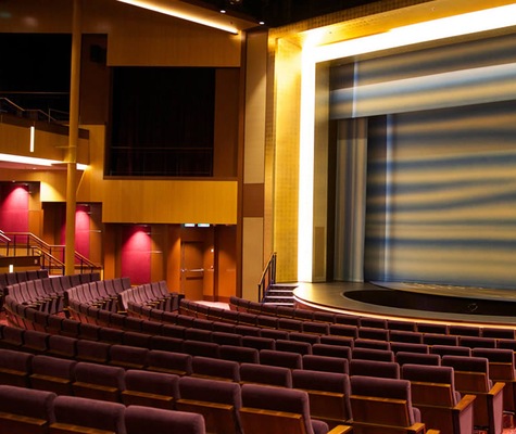 imagem Ovation of the Seas 17