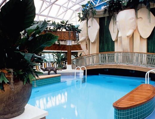 imagem Radiance of the Seas 24