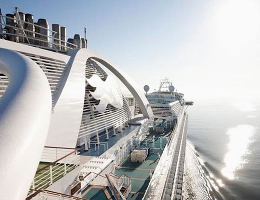imagem Emerald Princess 14