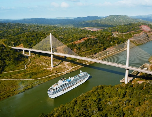 imagem Coral Princess 15