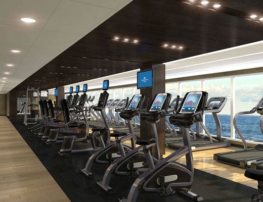 imagem Majestic Princess 17