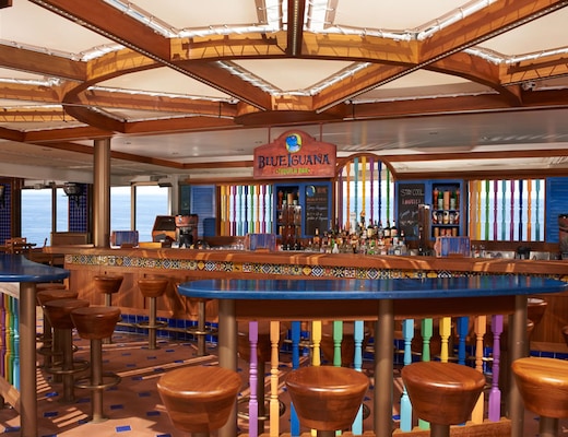imagem Carnival Liberty 12