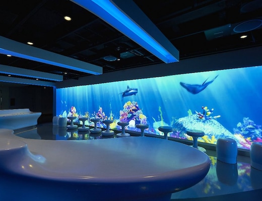 imagem Norwegian Joy 11