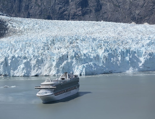 imagem Crown Princess 15