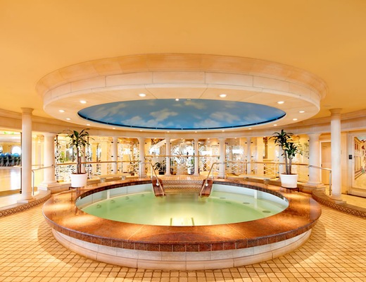 imagem Voyager of the Seas 35