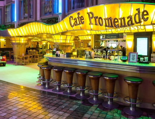 imagem Navigator of the Seas 18