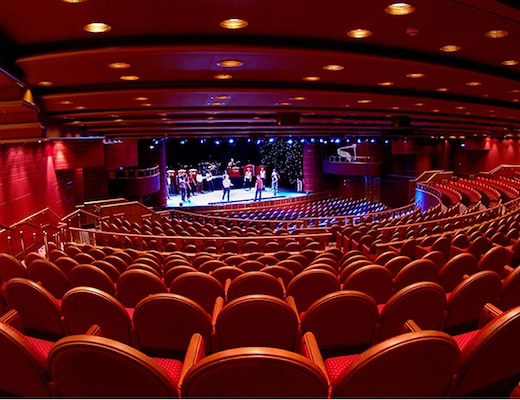 imagem Ruby Princess 6