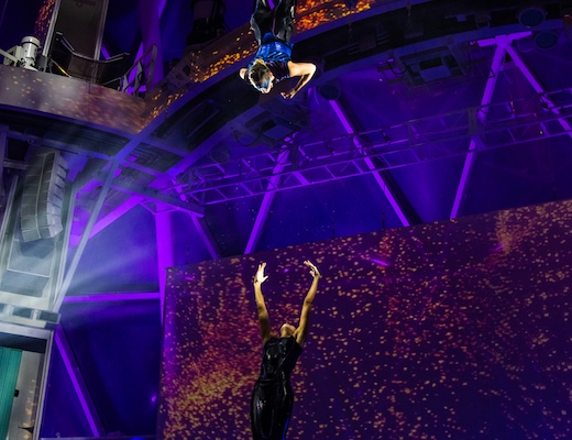 imagem Wonder of the Seas 23