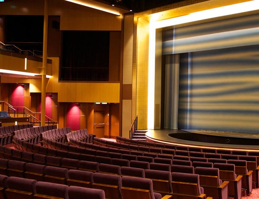 imagem Ovation of the Seas 17