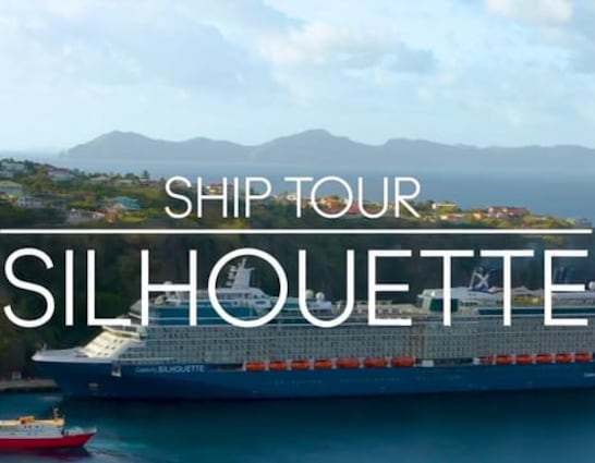 Celebrity Silhouette