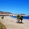 Ruleta Andalucia Senator Hotels and Resorts - map