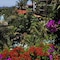 Hotel Parque Tropical - map