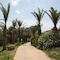 Ascos Coral Beach Hotel - map
