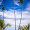 Majestic Colonial Punta Cana -  All Inclusive - map