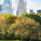 JW Marriott Essex House New York - map