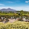 Knockranny House Hotel & Spa - map