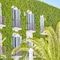 Cupido Boutique Hotel - map