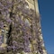 The Castle At Taunton - map