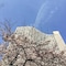 Hilton Tokyo - map