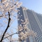 Tokyo Dome Hotel - map