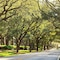 The Westin Hilton Head Island Resort & Spa - map