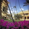 Halekulani Hotel - map