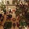 Riad Catalina - map