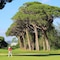 Pullman Cannes Mandelieu - map