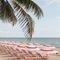 W Fort Lauderdale - map