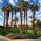 Monte Carlo Sharm Resort & Spa - map