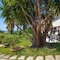 Tonicello Hotel Resort & Spa - map