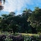 Orquideas Palace - map