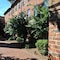 The Historic Brookstown Inn, Trademark Collection By Wyndham - map