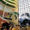 Sheraton Voyager Resort & Spa - map