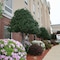 Hampton Inn Shreveport Airport - map
