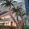 Saphir Resort & Spa - map